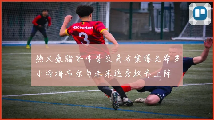 热火豪赌字母哥交易方案曝光希罗小海梅韦尔与未来选秀权齐上阵