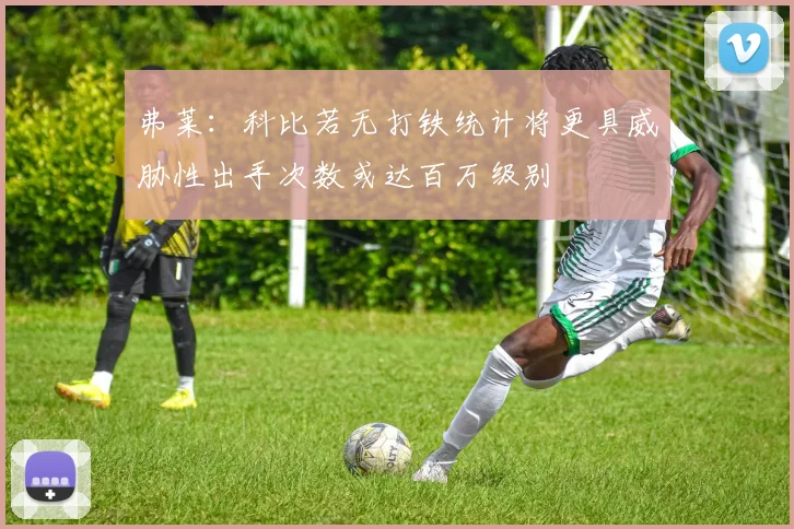 弗莱：科比若无打铁统计将更具威胁性出手次数或达百万级别