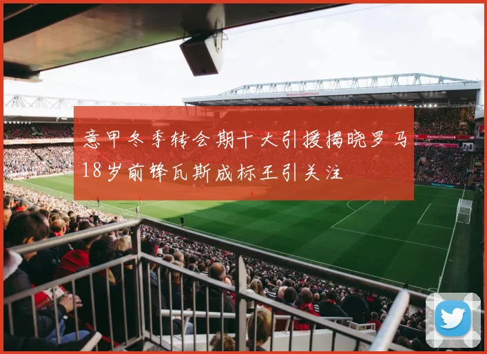 意甲冬季转会期十大引援揭晓罗马18岁前锋瓦斯成标王引关注